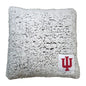 Indiana Frosty Throw Pillow