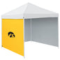 Iowa Lemon 9 x 9 Side Panel