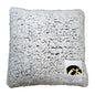 Iowa Frosty Throw Pillow