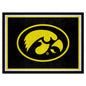 University of Iowa 8x10 Rug