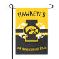 University of Iowa FLAG12X18