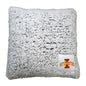 IA State Frosty Throw Pillow