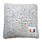 Miami Frosty Throw Pillow