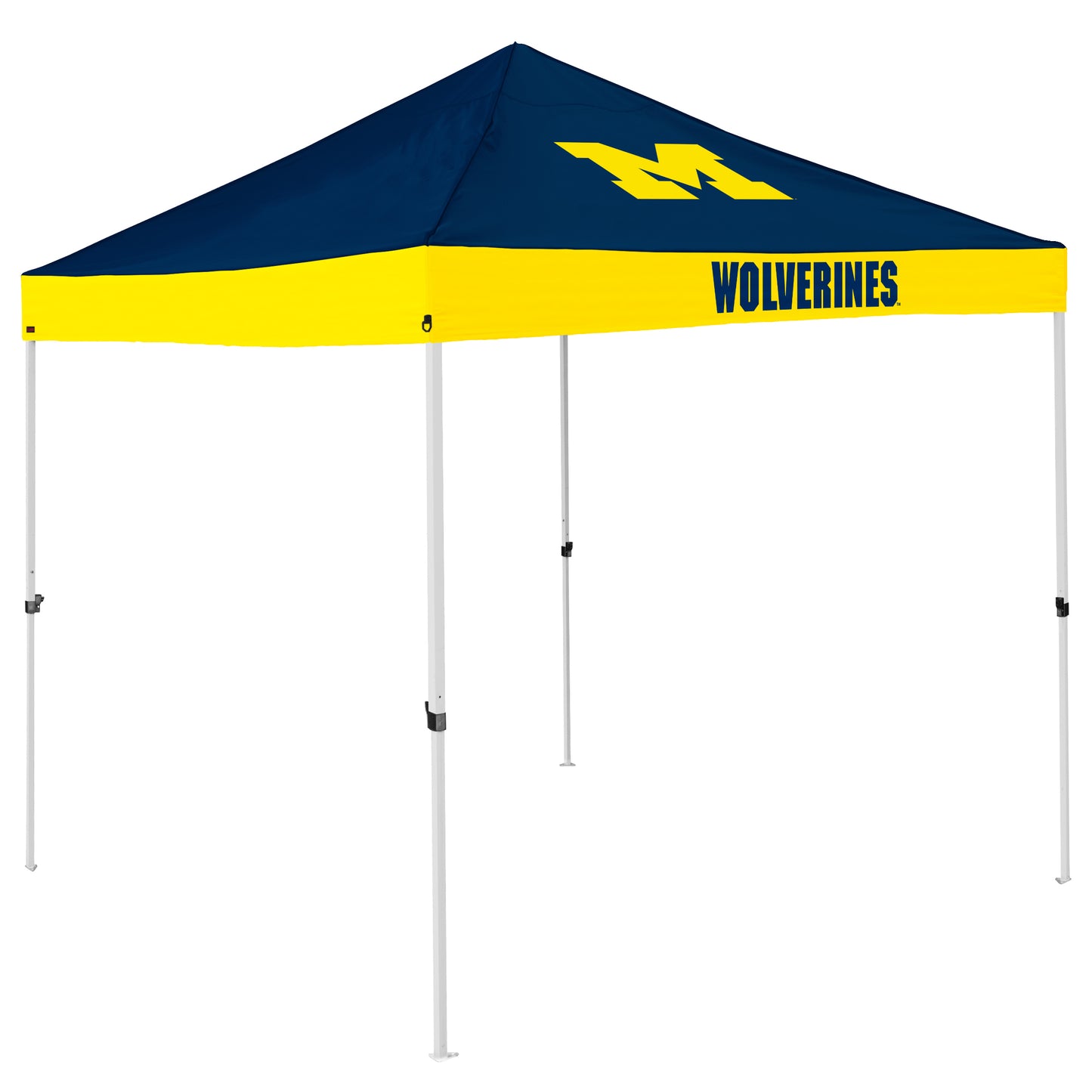 Michigan Economy Canopy