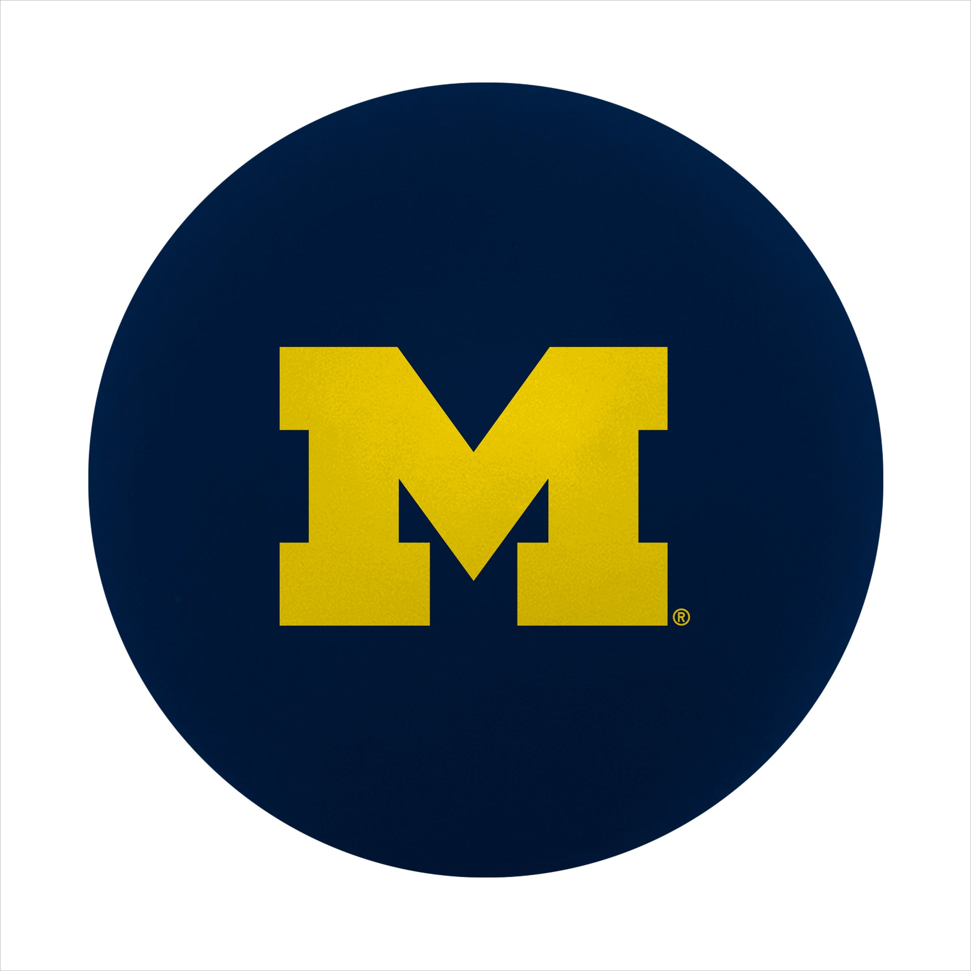 Michigan Full Color High Bounce Ball