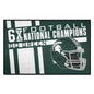 Michigan State University Starter Mat - Dynasty