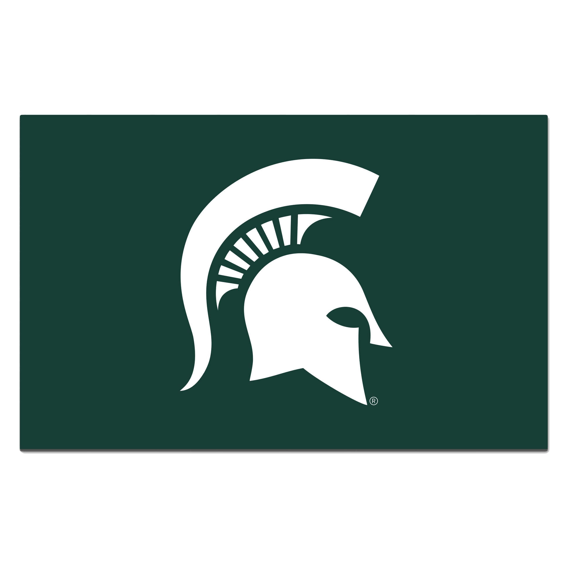 Michigan State University ROOKIE