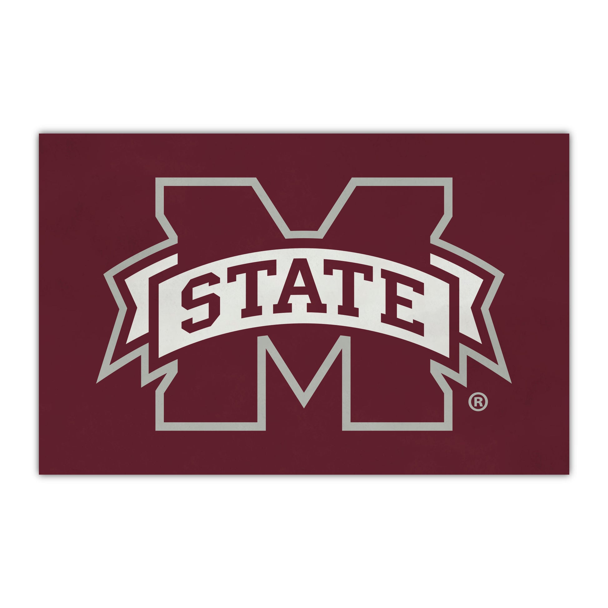 Mississippi State University HiDef Rookie