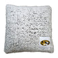 Missouri Frosty Throw Pillow