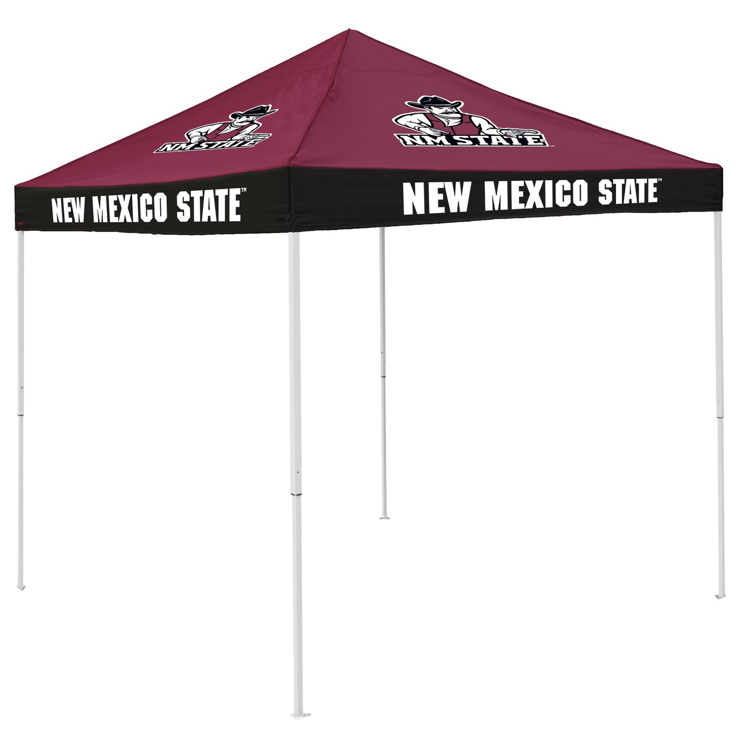 NM State Economy Canopy