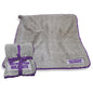 Northwestern Frosty Fleece