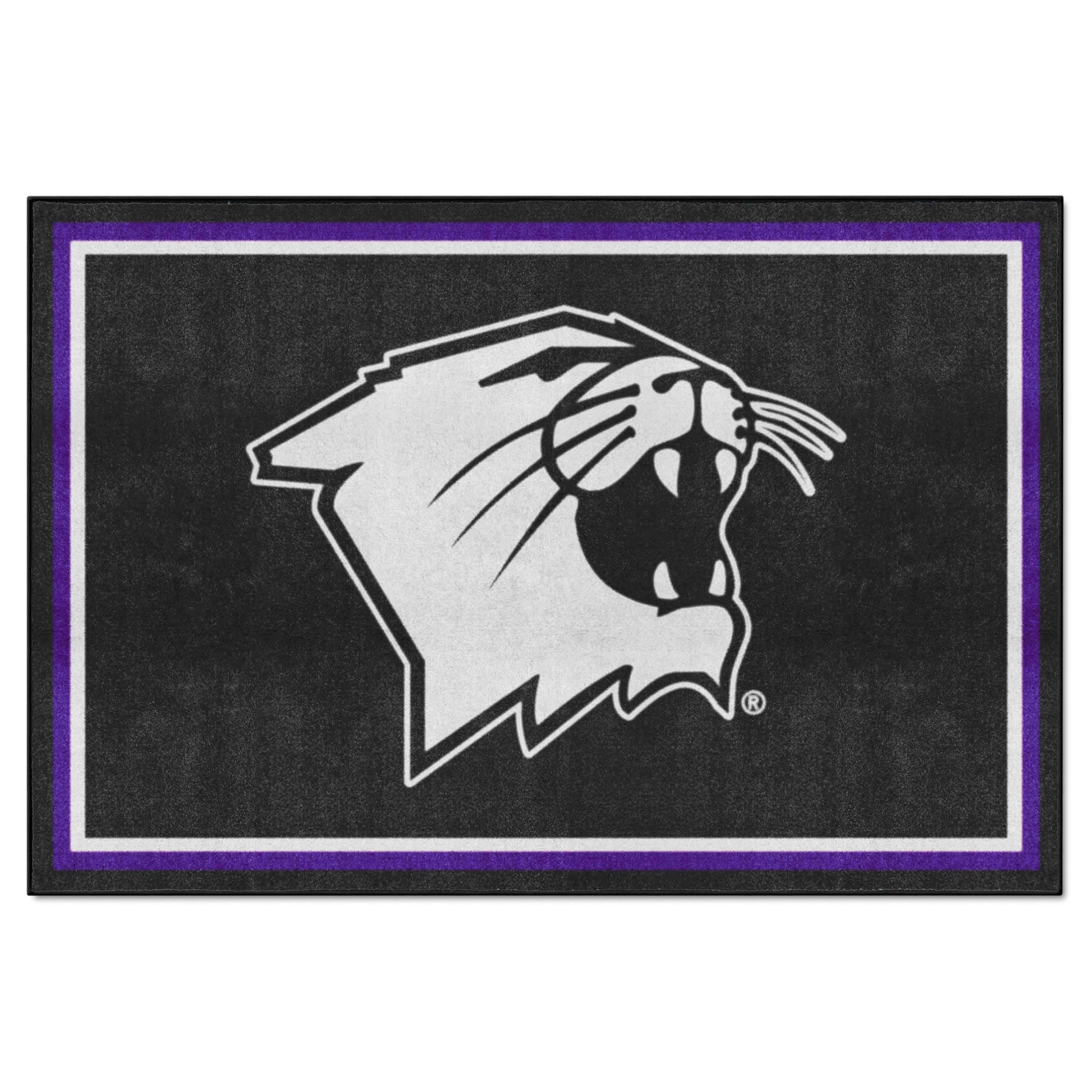 Northwestern University 5x8 Rug