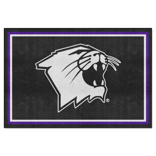 Northwestern University 5x8 Rug