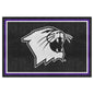 Northwestern University 5x8 Rug