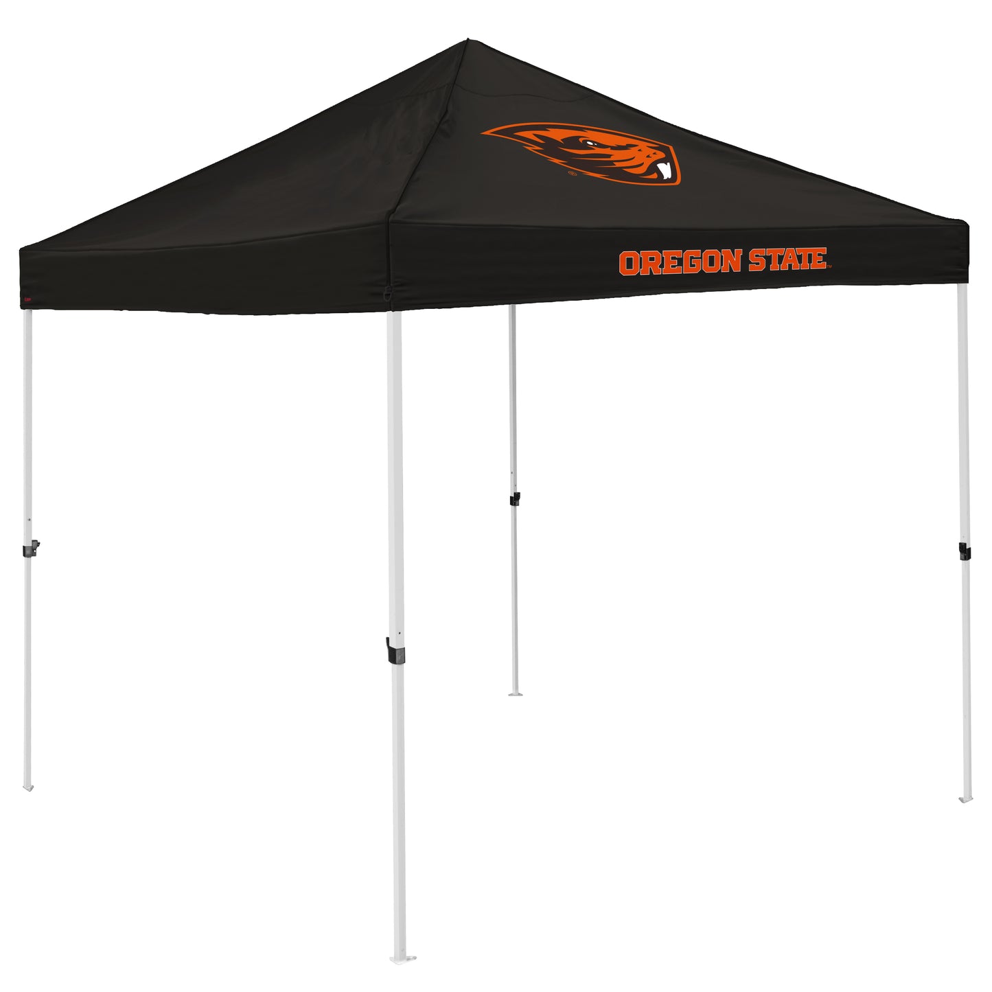 OR State Economy Canopy
