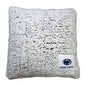Penn State Campus Colors Frosty Throw Pillow