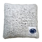 Penn State Frosty Throw Pillow