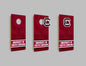 NCAA Wall Art thats also Corn Hole -University of South Carolina