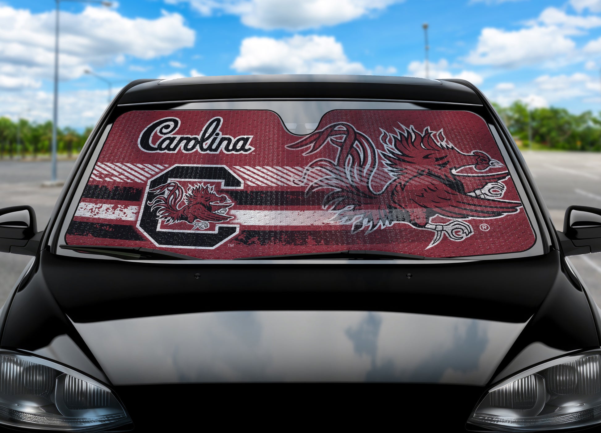 University of South Carolina Auto Shade