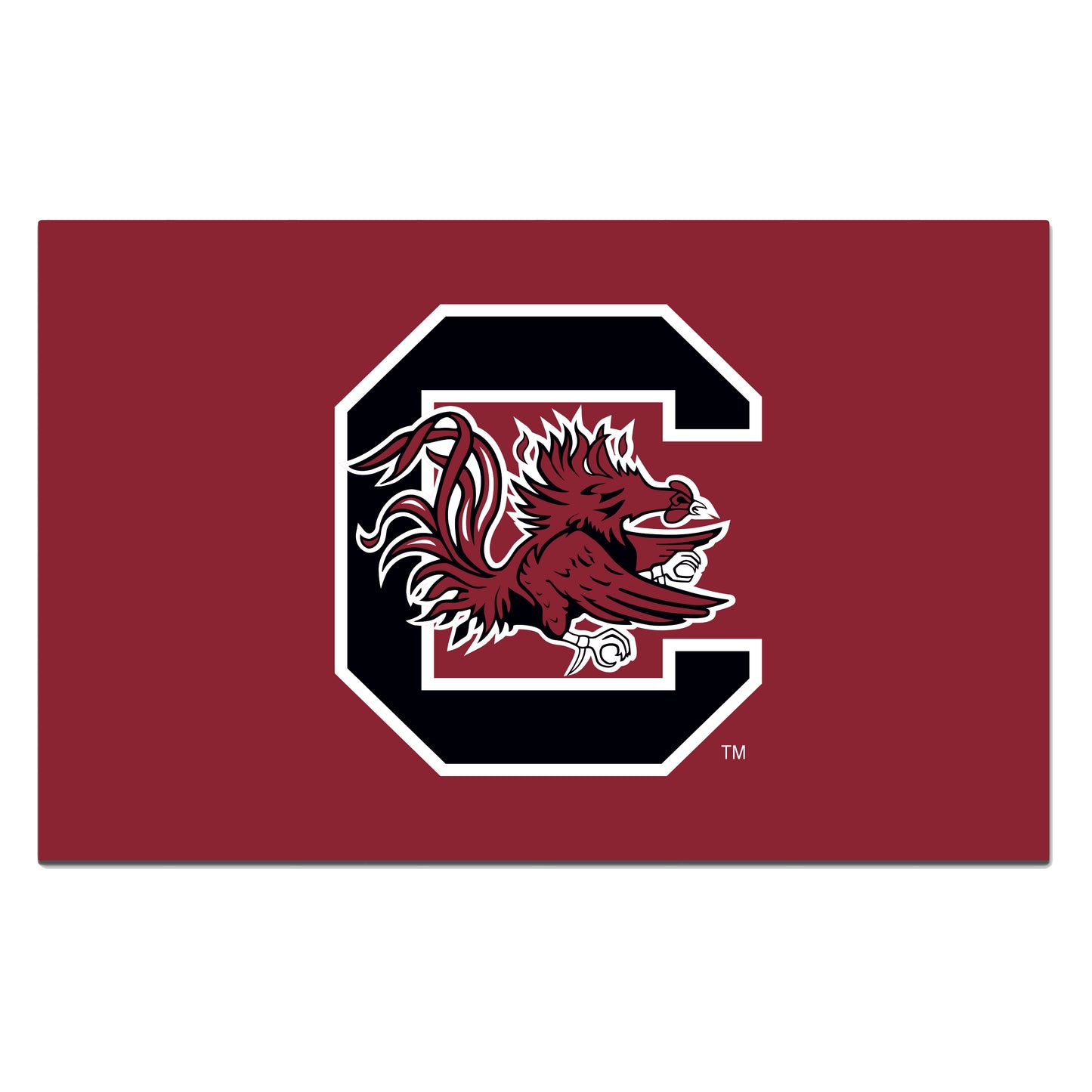 University of South Carolina ROOKIE