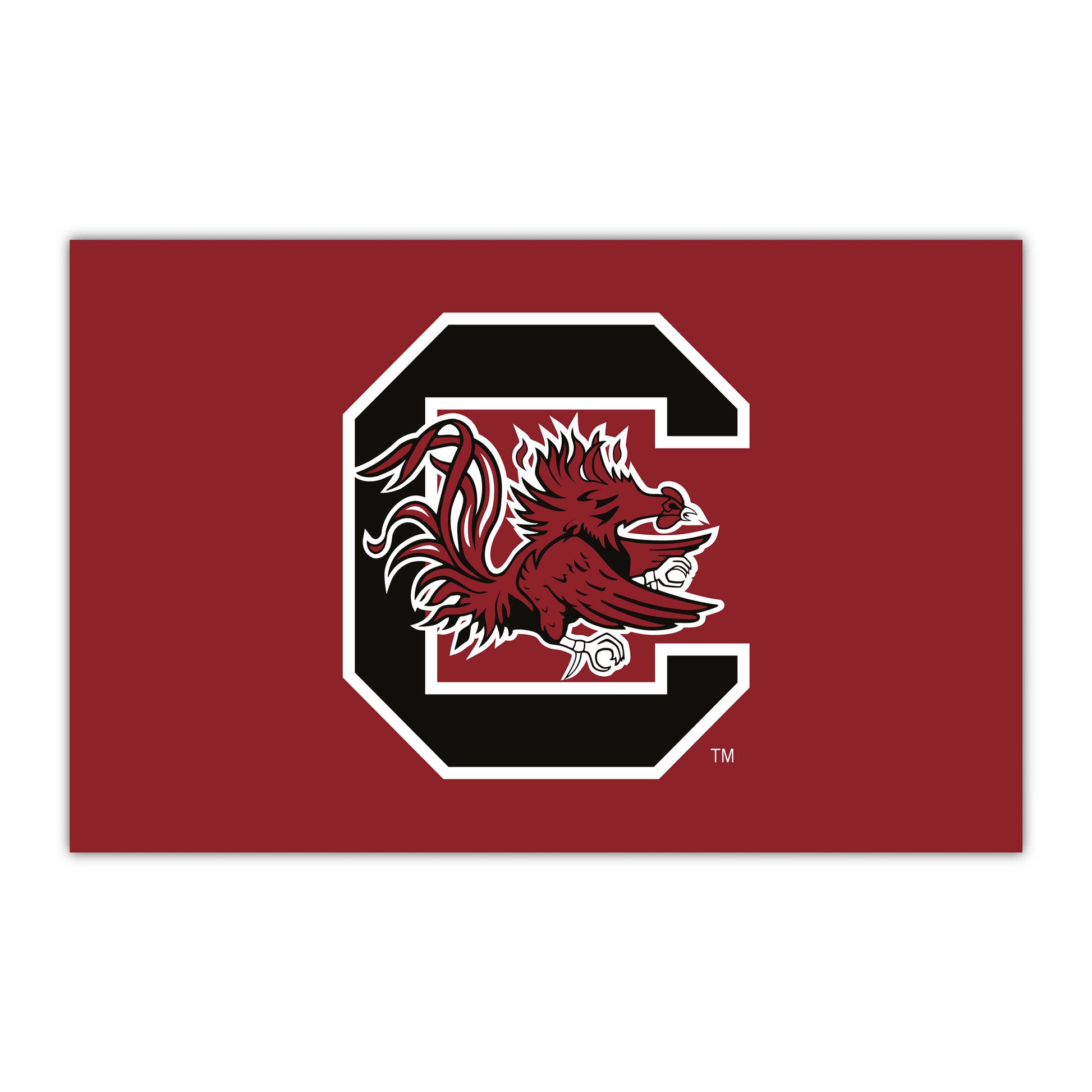 South Carolina HiDef Rookie