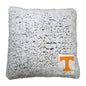 Tennessee Frosty Throw Pillow