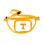 Tennessee Clear Fanny Pack