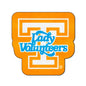 University of Tennessee Mascot Mat