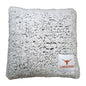 Texas Campus Colors Frosty Throw Pillow