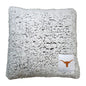 Texas Frosty Throw Pillow