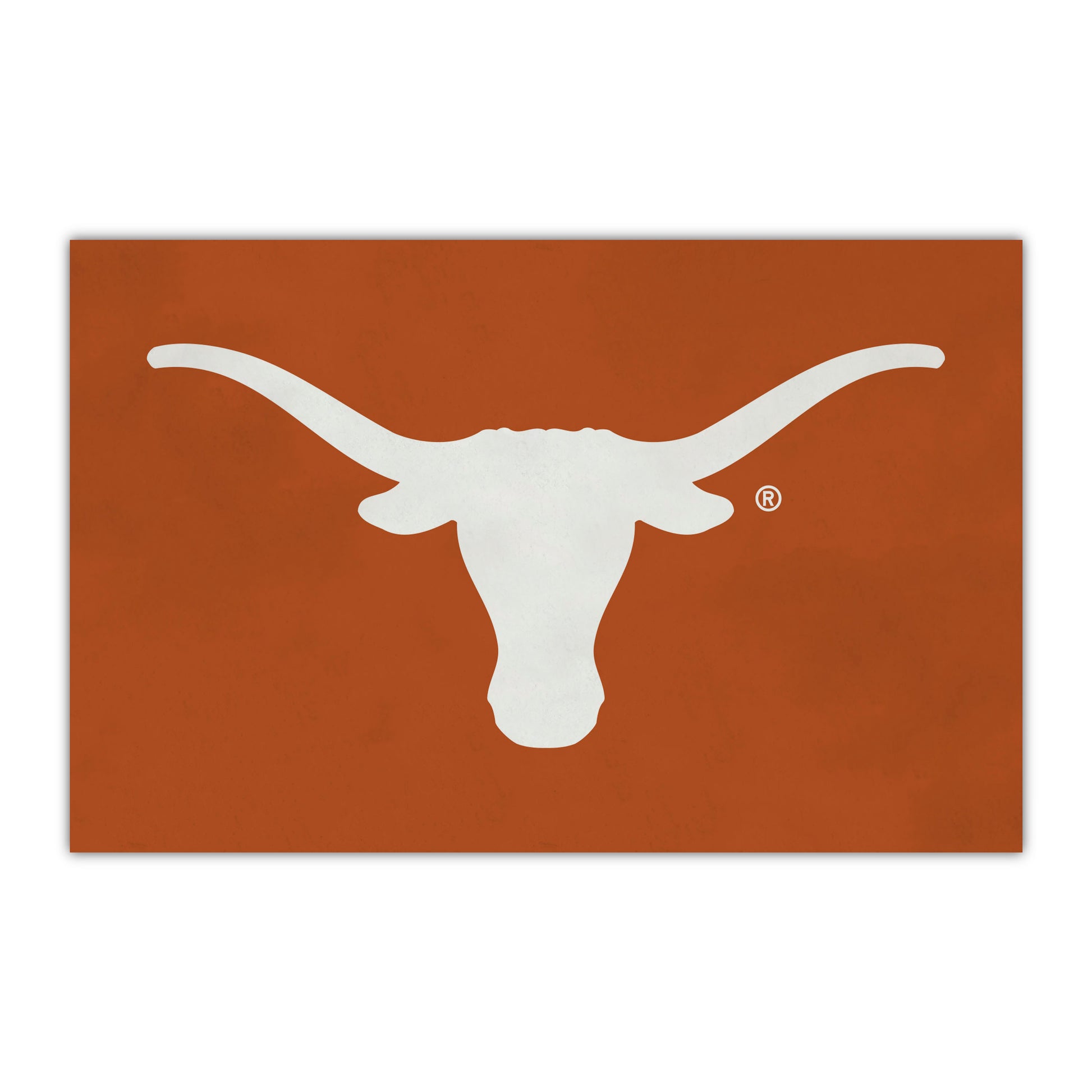 University of Texas HiDef Rookie