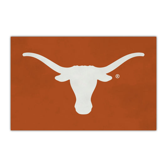 University of Texas HiDef Rookie