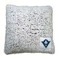 UNC Wilmington Frosty Throw Pillow