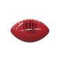 Utah Carbon Fiber Mini Glossy Football