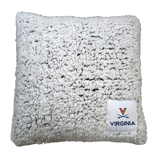 Virginia Campus Colors Frosty Throw Pillow