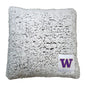 Washington Frosty Throw Pillow