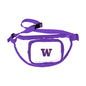 Washington Clear Fanny Pack