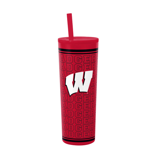 Wisconsin 30oz Echo SS Straw Tumbler