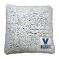 Villanova Campus Colors Frosty Throw Pillow