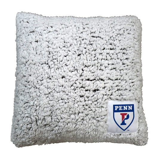 Pennsylvania U Frosty Throw Pillow