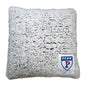 Pennsylvania U Frosty Throw Pillow