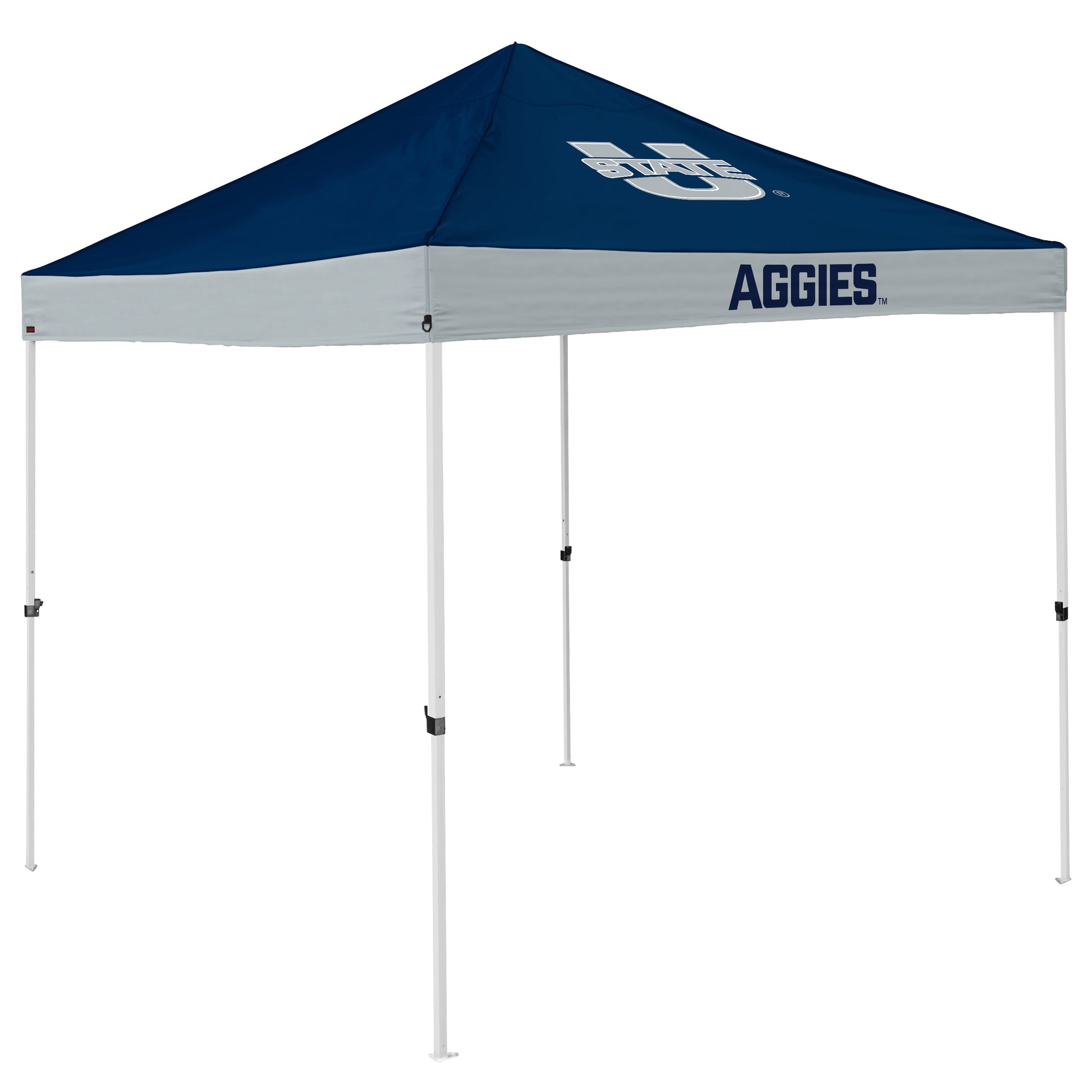 UT State Economy Canopy