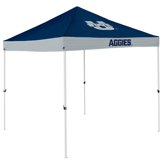 UT State Economy Canopy