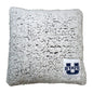 Utah State Frosty Throw Pillow