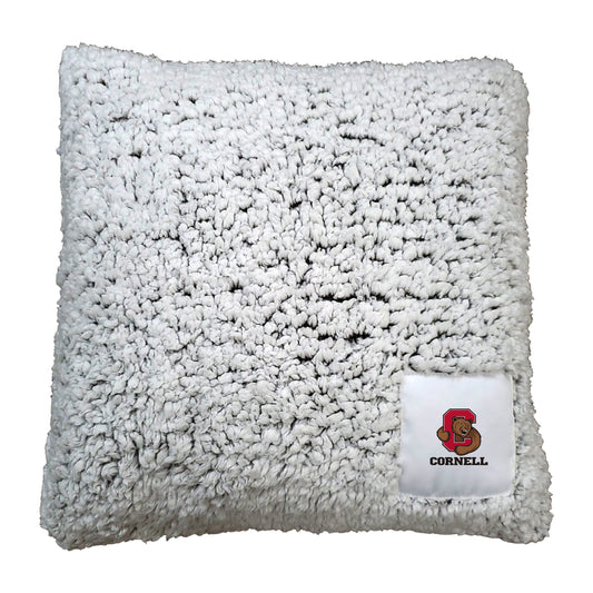 Cornell Campus Colors Frosty Throw Pillow