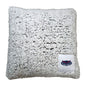 FL Atlantic  Frosty Throw Pillow