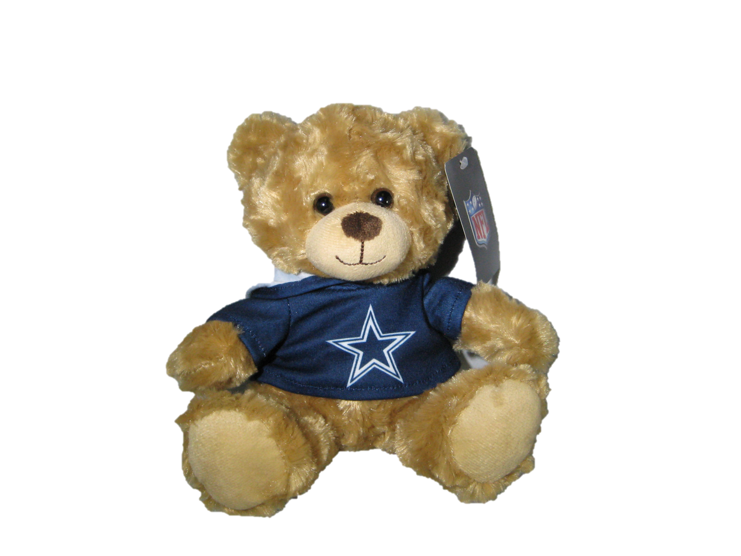 NFL Dallas Cowboys 9" Rally Man Bear