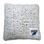 Howard U Frosty Throw Pillow