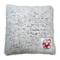 SUNY Cortland Frosty Pillow