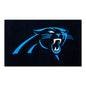 NFL - Carolina Panthers 3x5 Rug